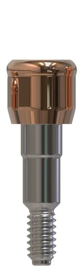 Camlog® | Camlog® | Gerades Abutment