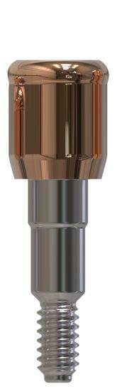 Camlog® | Camlog® | Gerades Abutment