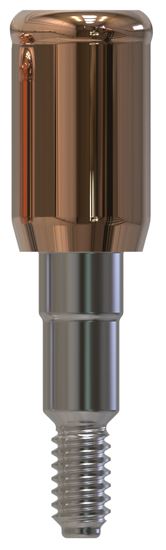 Camlog® | Camlog® | Gerades Abutment
