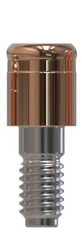 Camlog® | Camlog® | Gerades Abutment