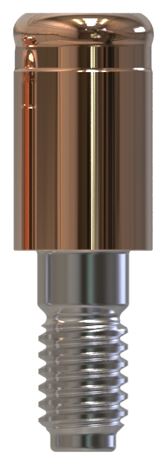 Camlog® | Camlog® | Gerades Abutment