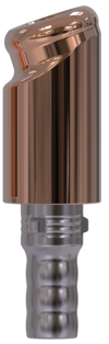 Camlog® | Camlog® | 18˚ hoekige abutment