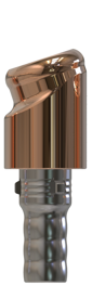 Camlog® | Camlog® | 18˚ hoekige abutment