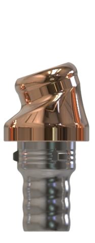 Camlog® | Camlog® | 18˚ hoekige abutment