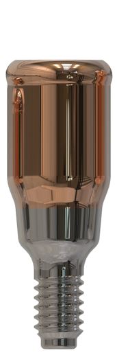 MegaGen® | AnyRidge® | Rechte abutment