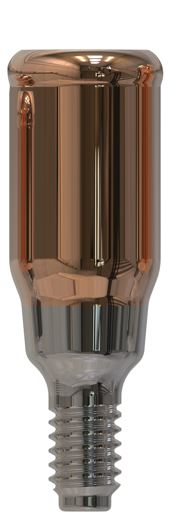 MegaGen® | AnyRidge® | Rechte abutment