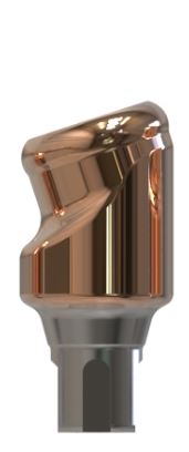 Straumann® | Bone Level® | 18˚ angled abutment