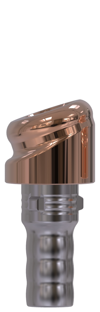 Camlog® | Camlog® | 18˚ angled abutment