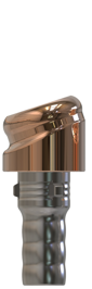 Camlog® | Camlog® | 18˚ angled abutment